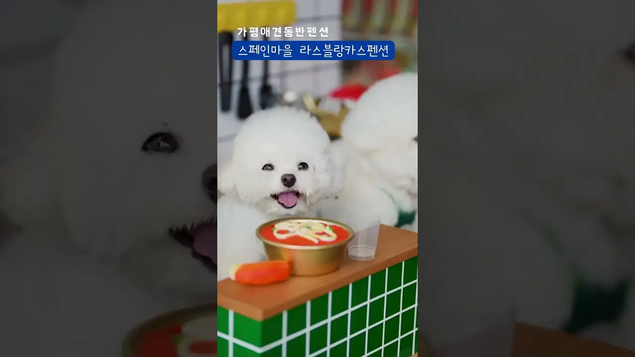숏츠썸네일